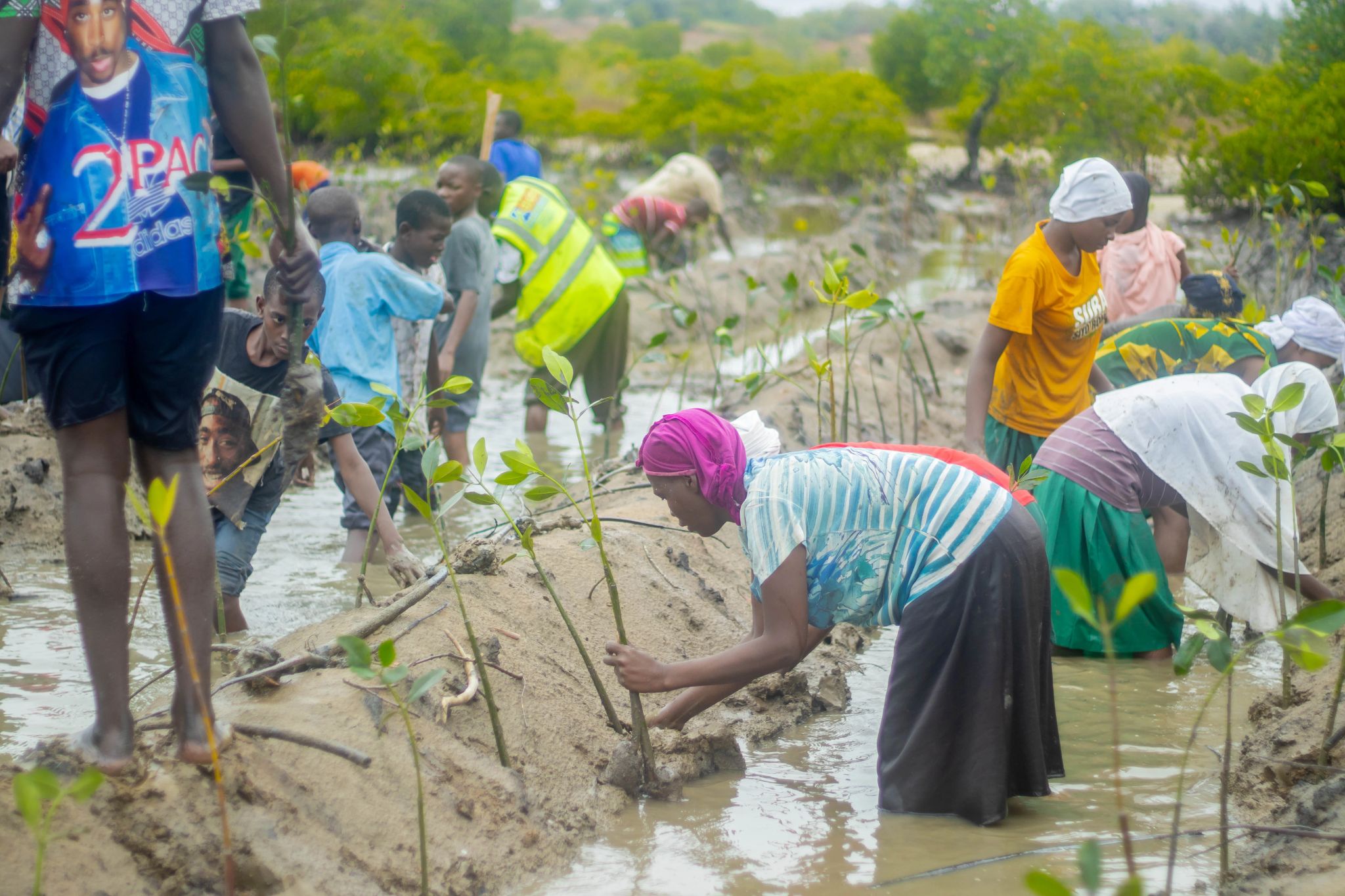 Climate Action